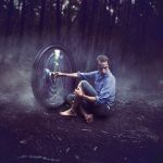 این بار جنگل