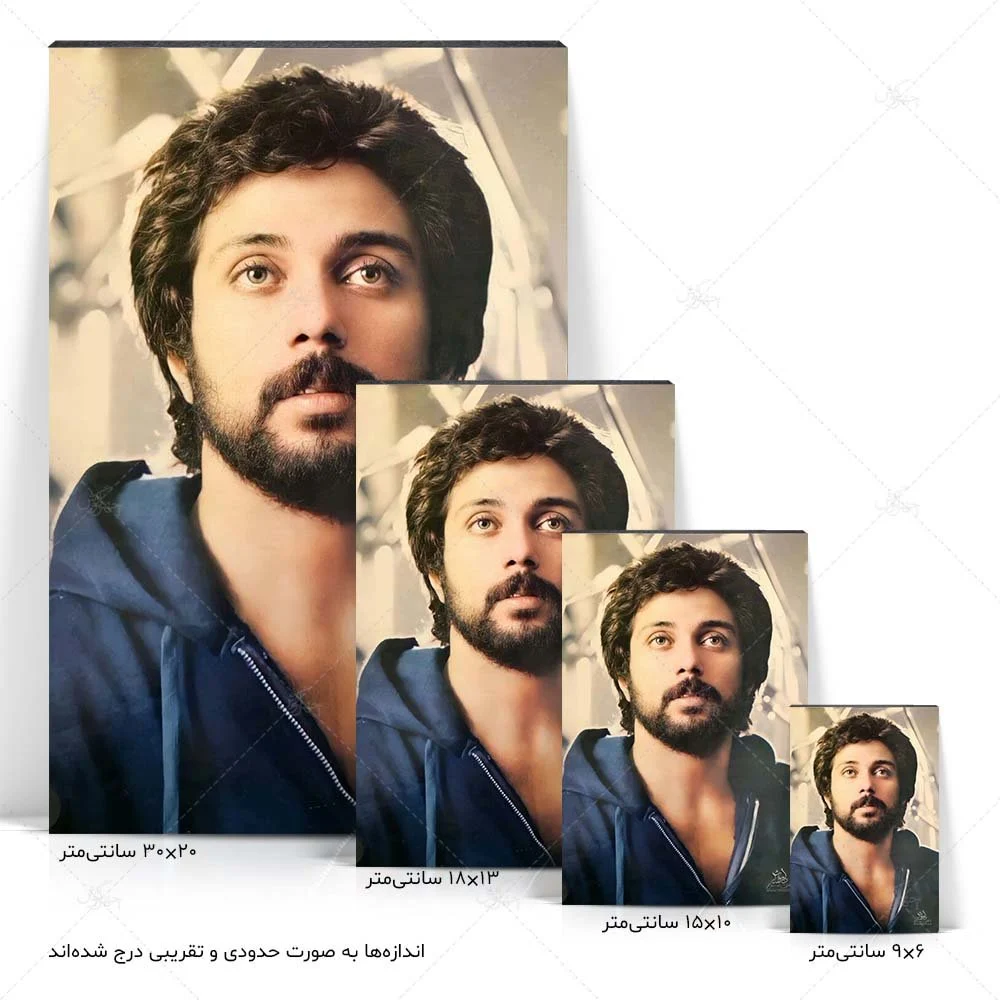 1449 Dariush (2)