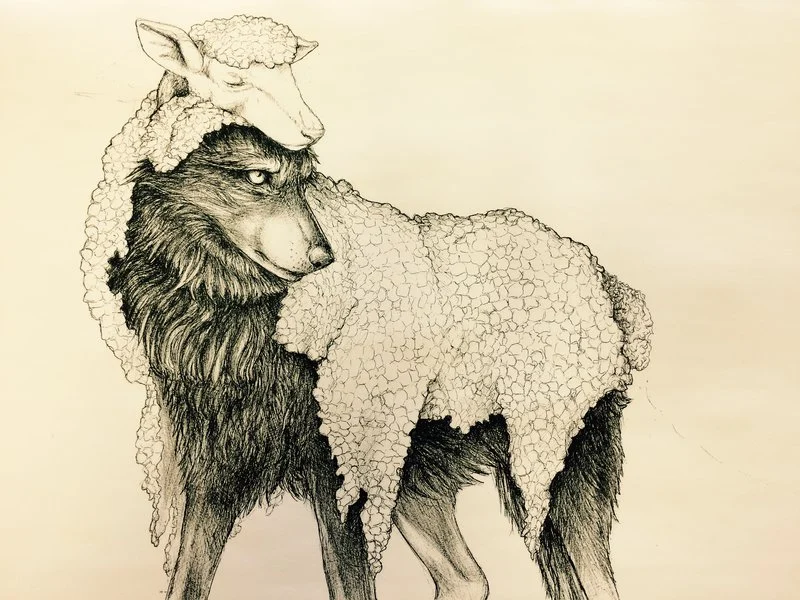 داستانک «حکایت گرگی در رمه»